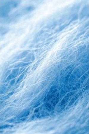 Fibers
